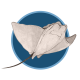 stbts_Mantarays