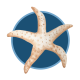 stbts_starfish